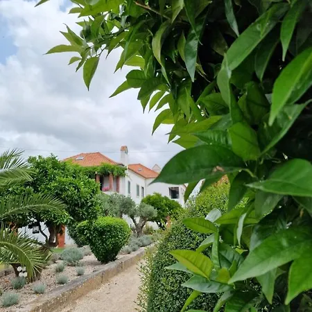 Casa Nikana Villa Turcifal