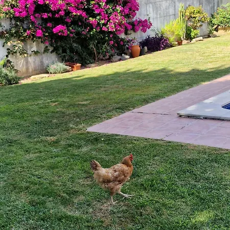 Vila Casa Nikana Turcifal