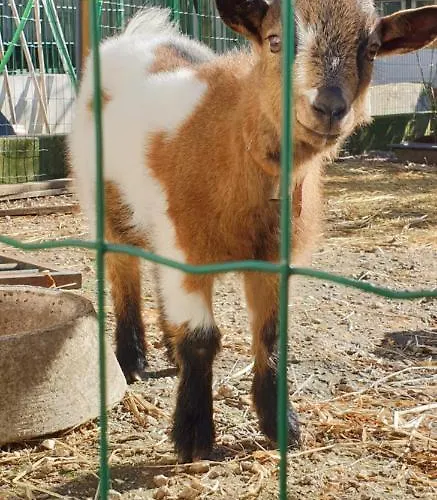 Casa Nikana Turcifal