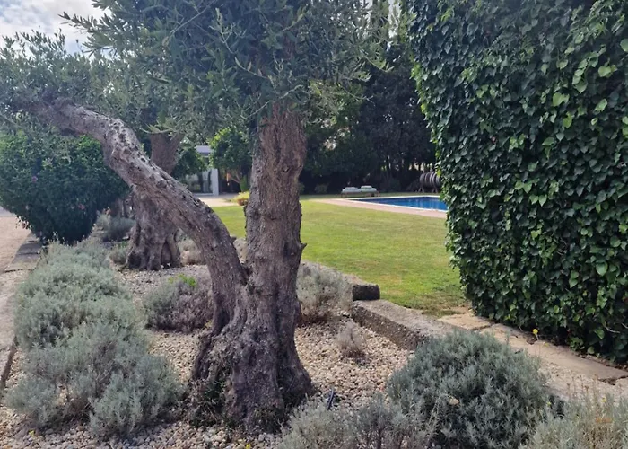 Casa Nikana Turcifal