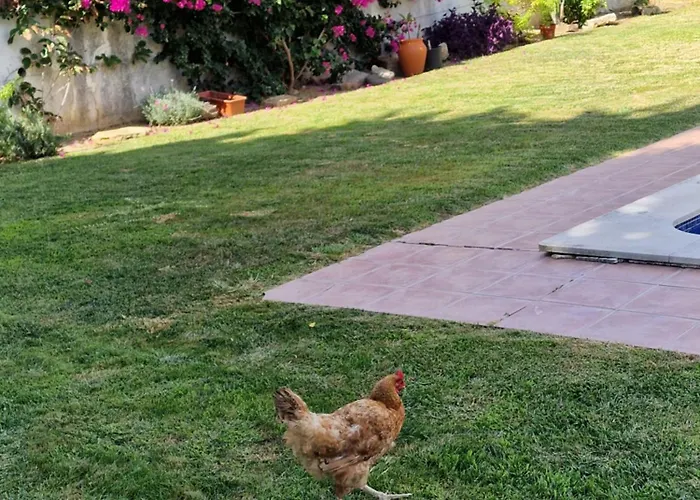 Villa Casa Nikana Turcifal